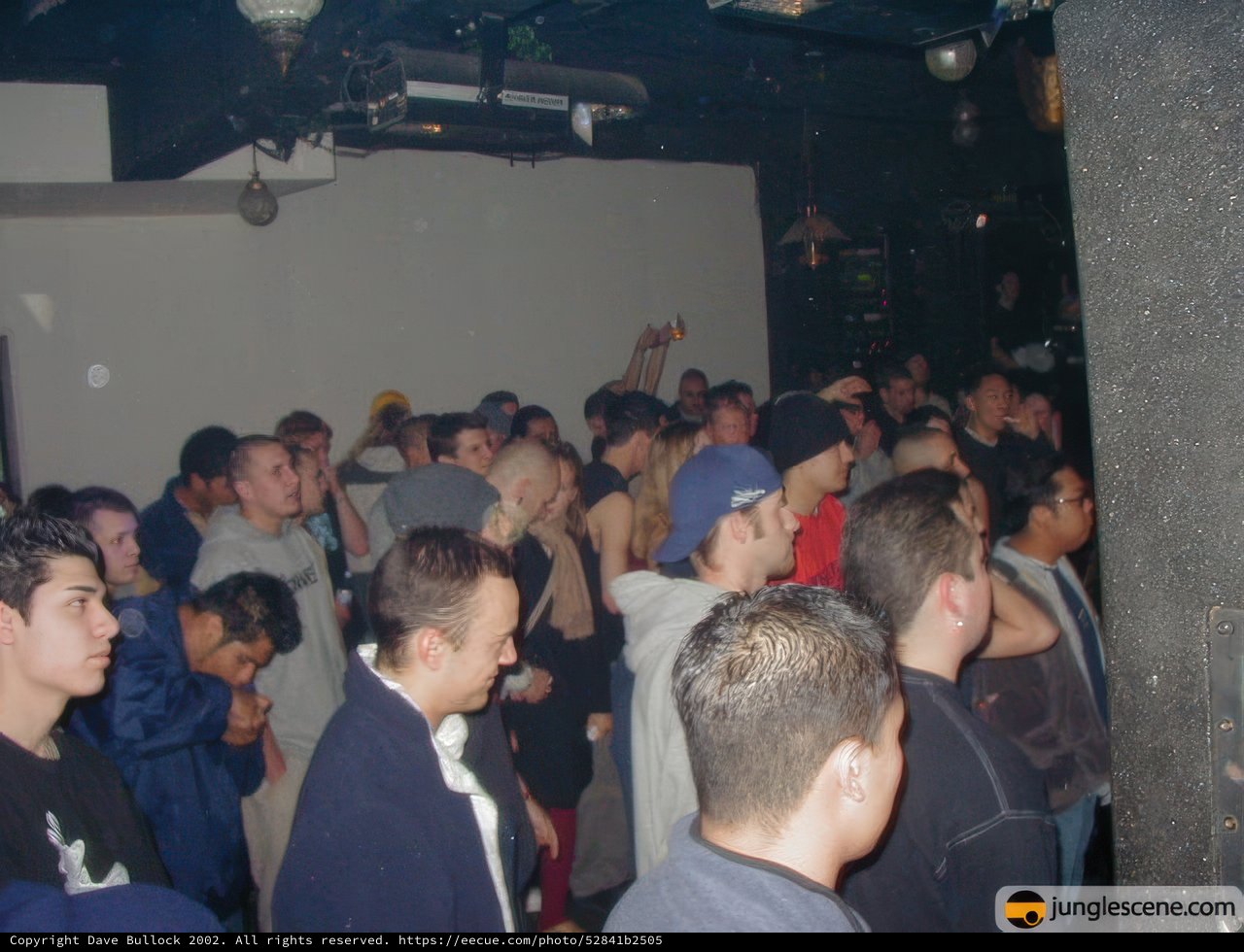 Night Club Crowd