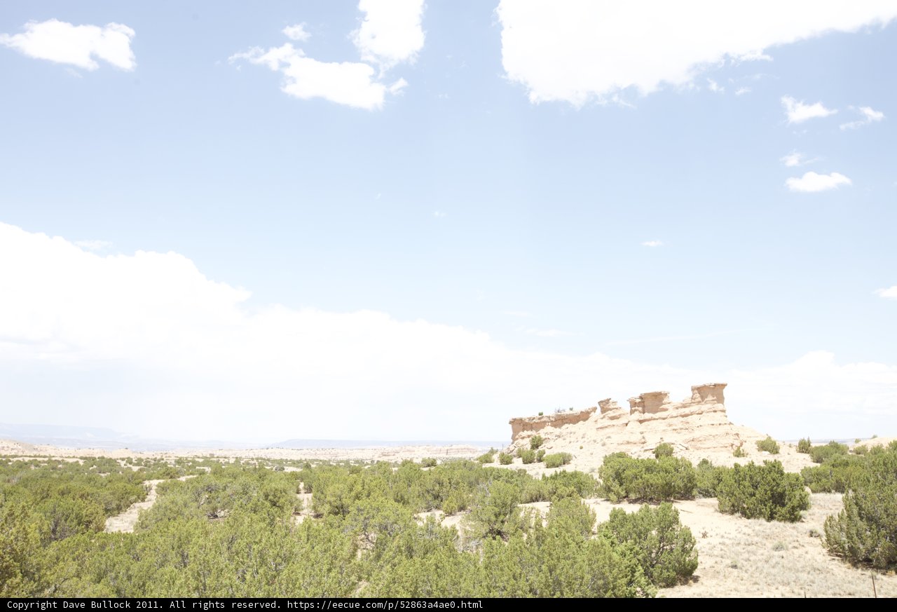 Desert Scenery with Shrubs and Trees