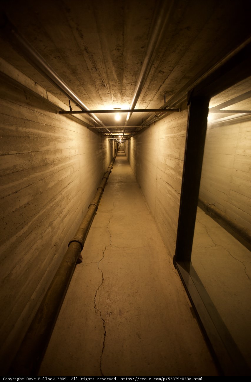 Journey Through the Tunnel