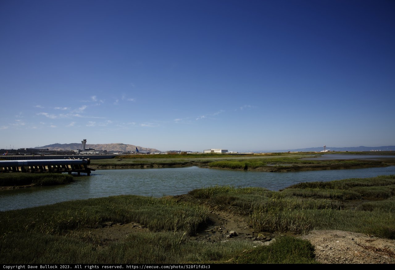 Dockside Daydreams, Millbrae, California, 2023