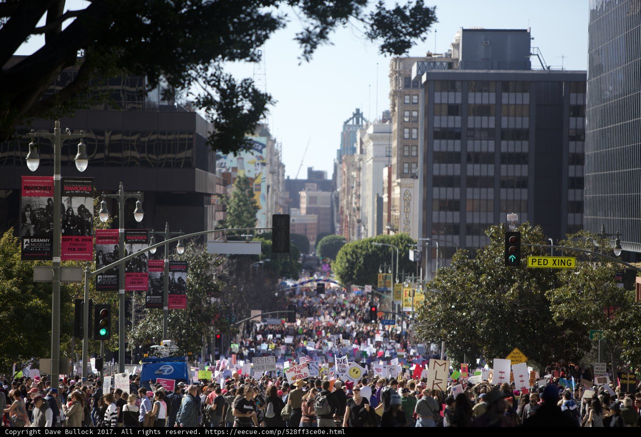 Women's March Takes to the Metropolis