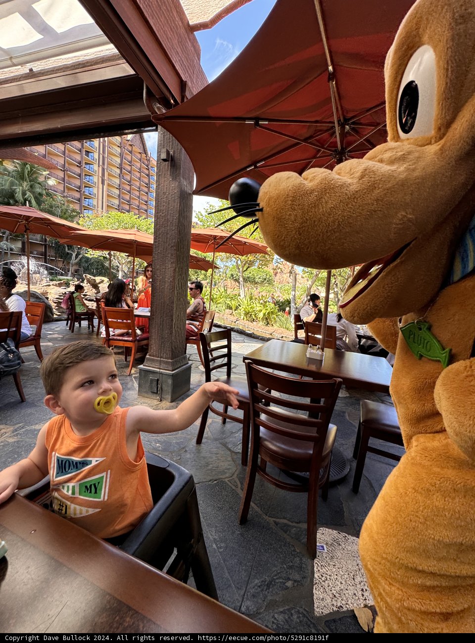 Enchanted Breakfast Encounter
