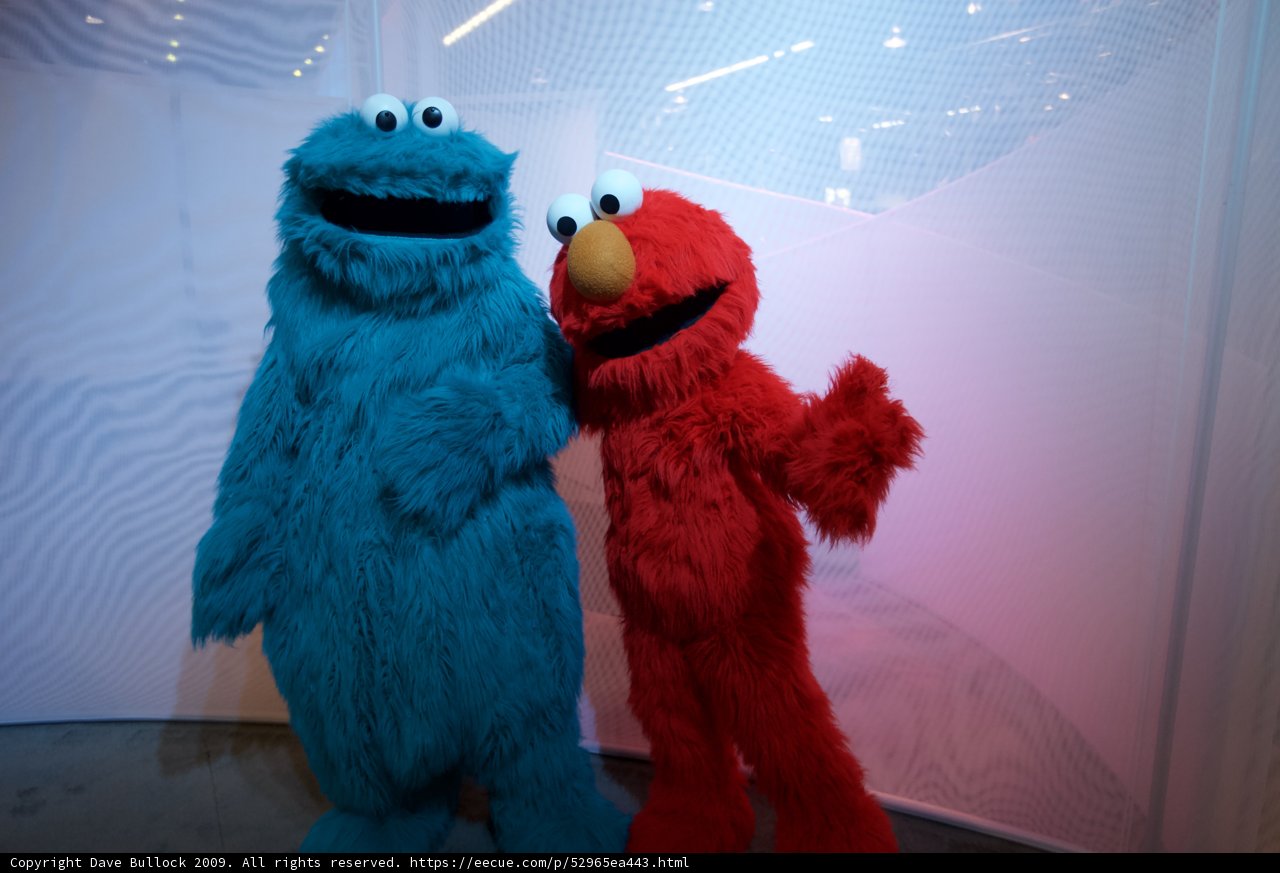Sesame Street Duo