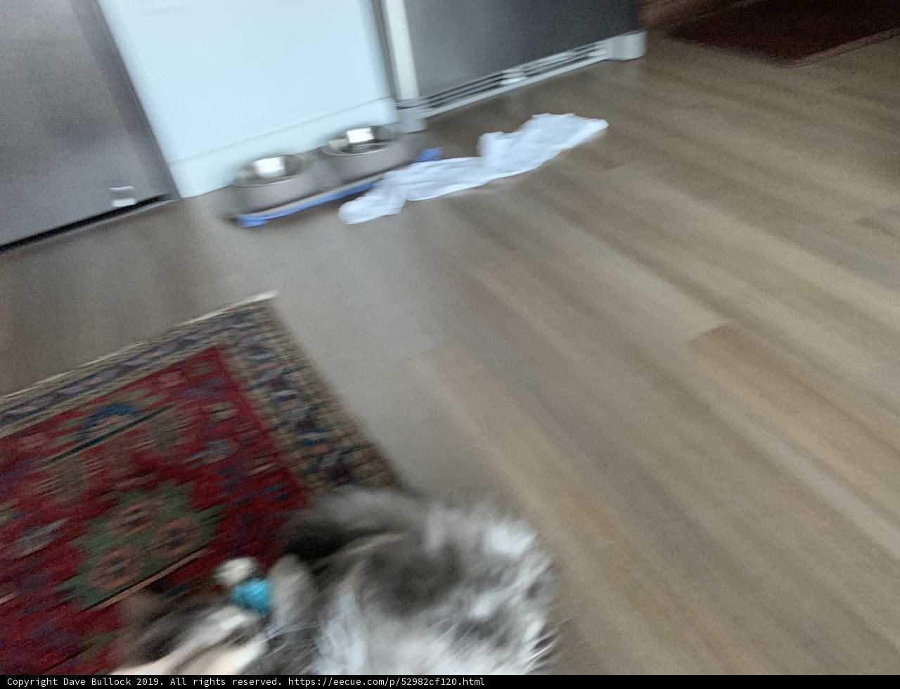 Wooden Floor Companion