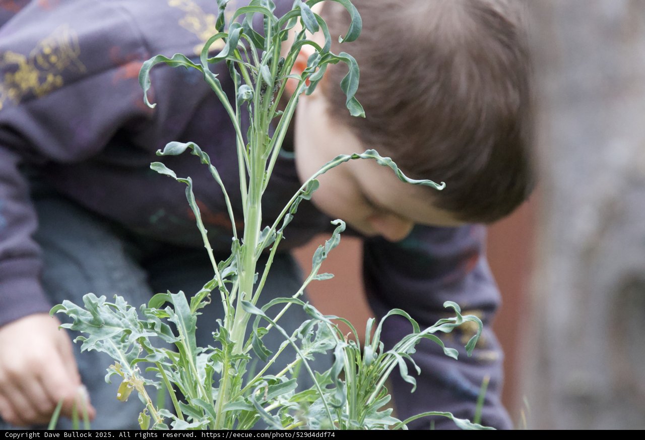 Nature’s Young Enthusiast