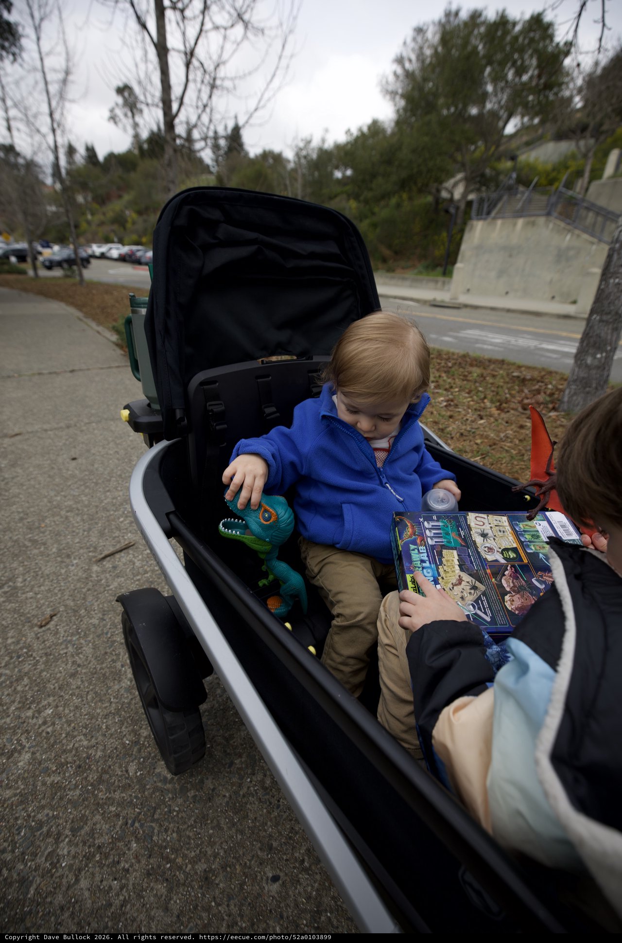 Young Children Sharing Book in Modern Stroller Outdoors