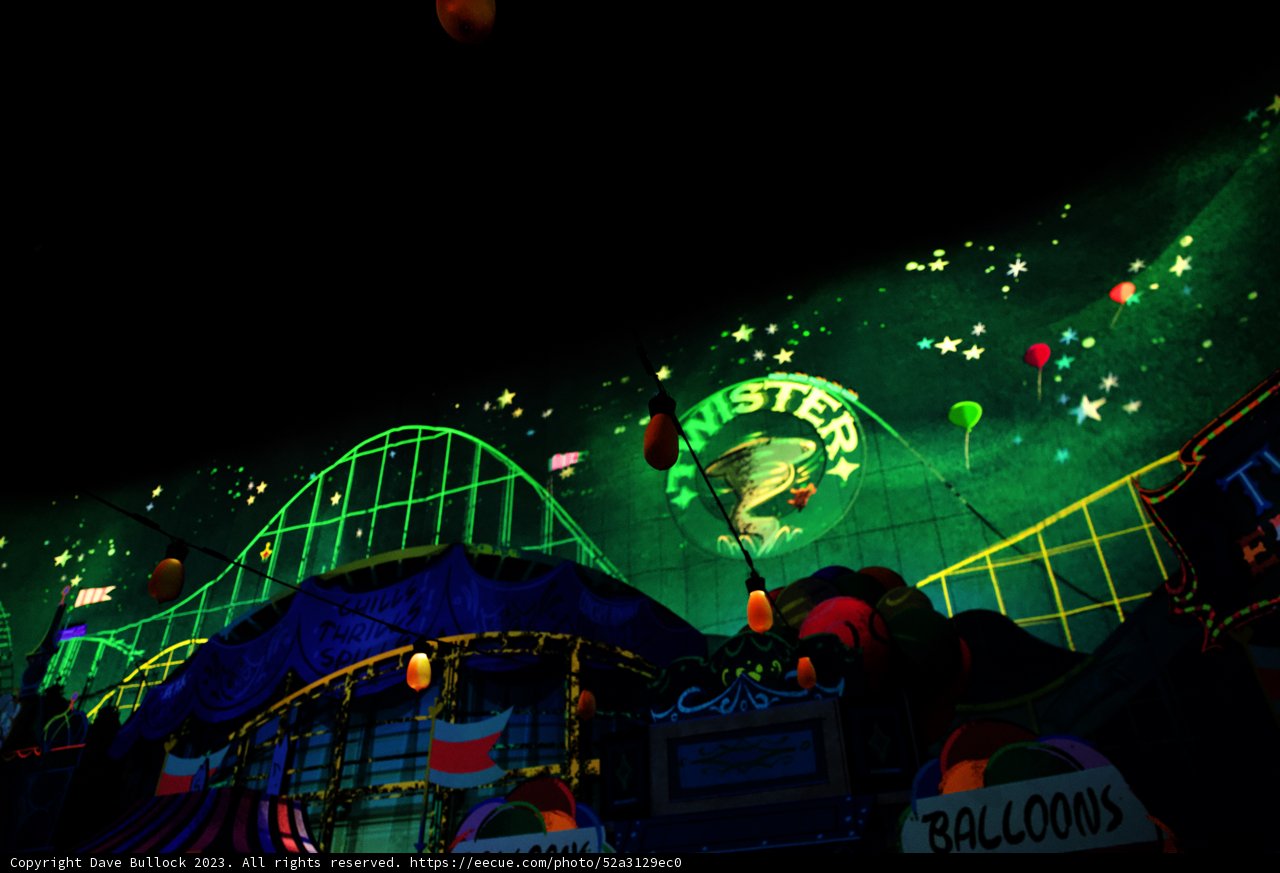 Magical Moments at Disneyland