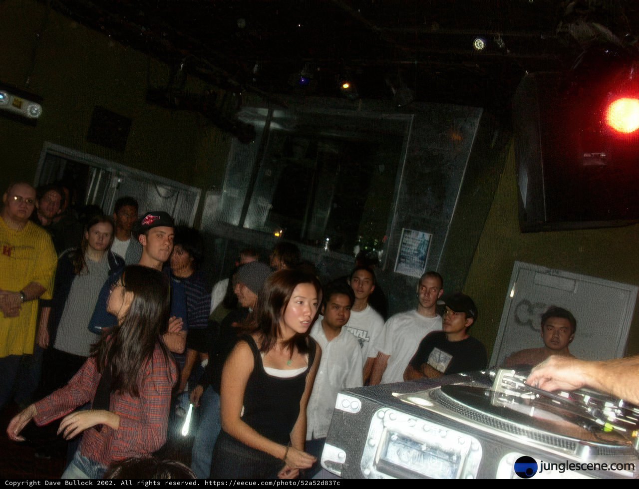 Night Club DJ Entertaining Crowd