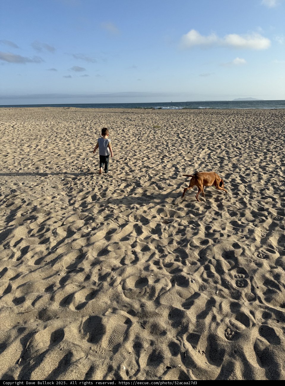 A Stroll Beyond the Shoreline