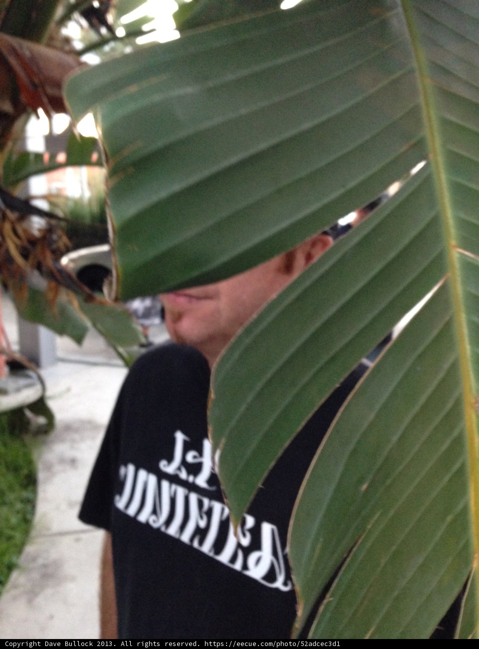Peeking Out of Paradise