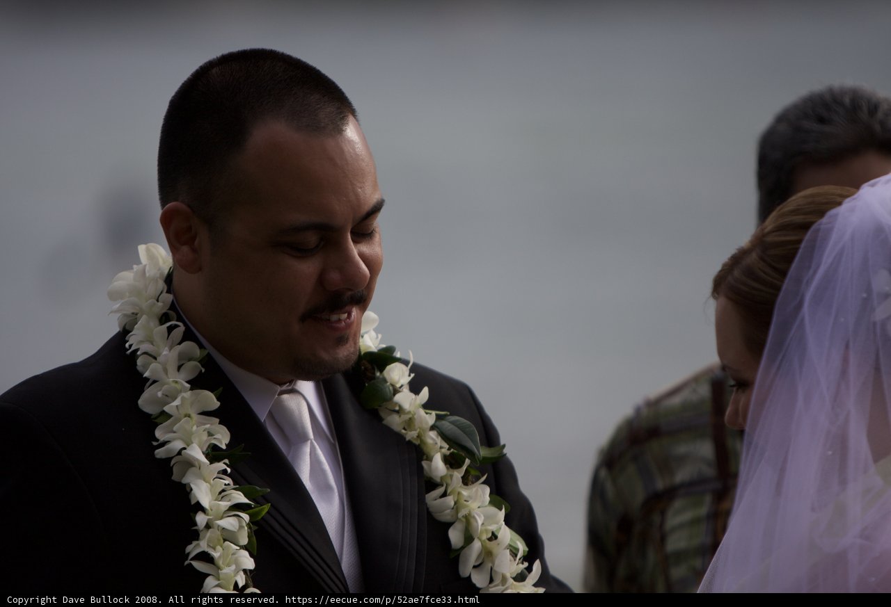 Hawaiian Wedding Bliss