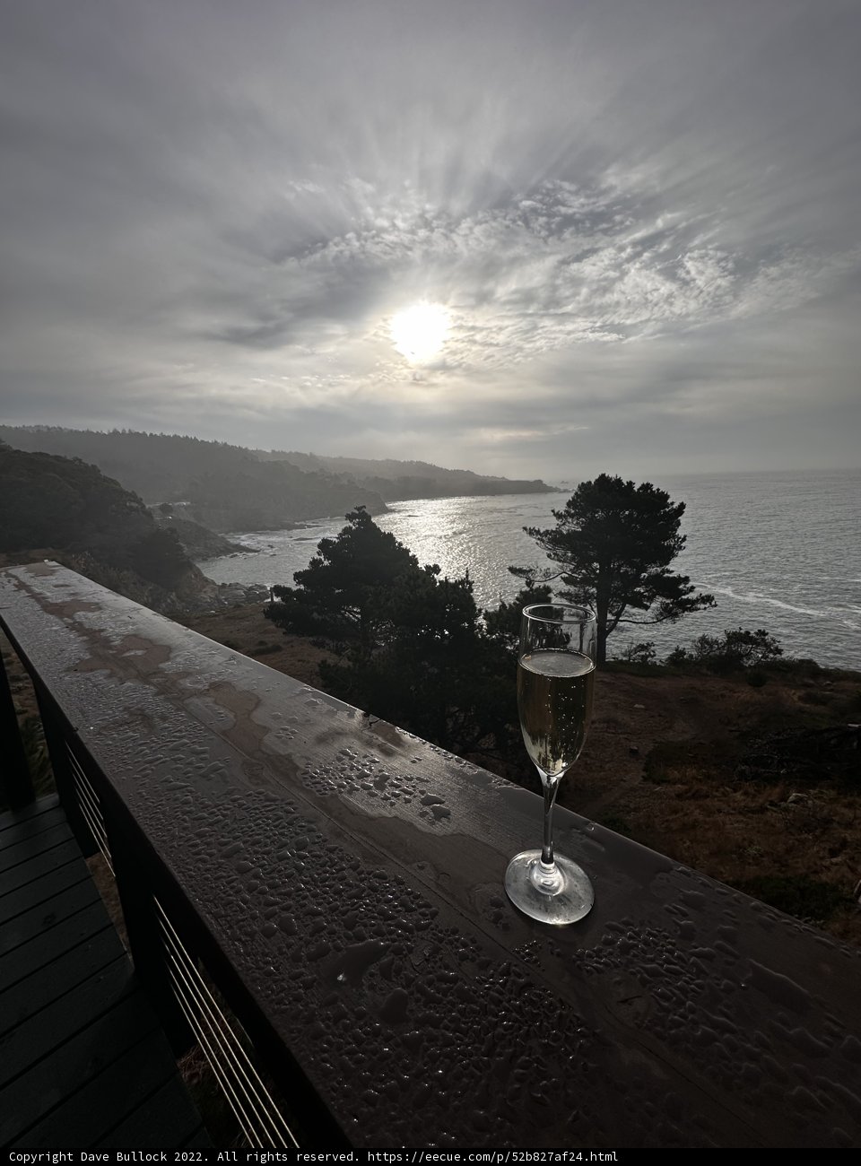 Wine with a View