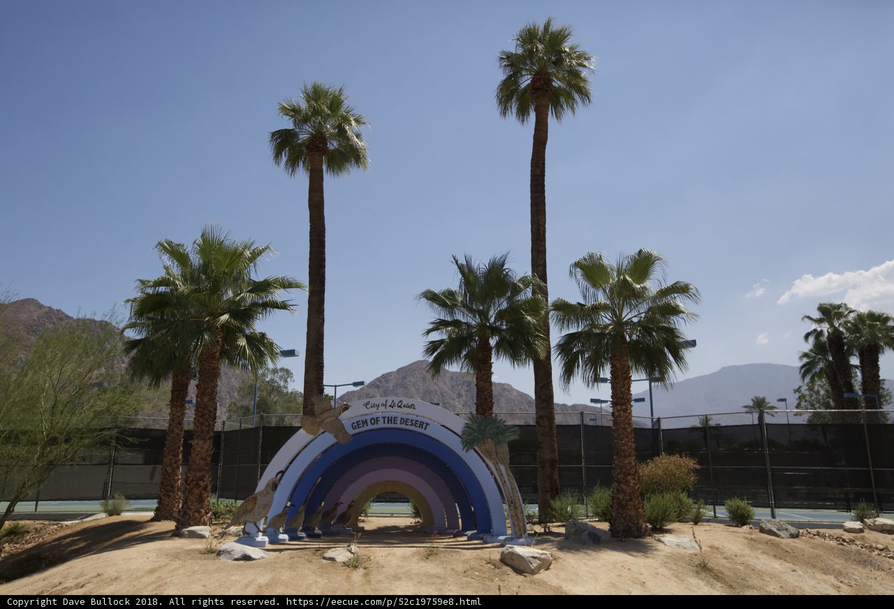 Rainbow Oasis in the Desert