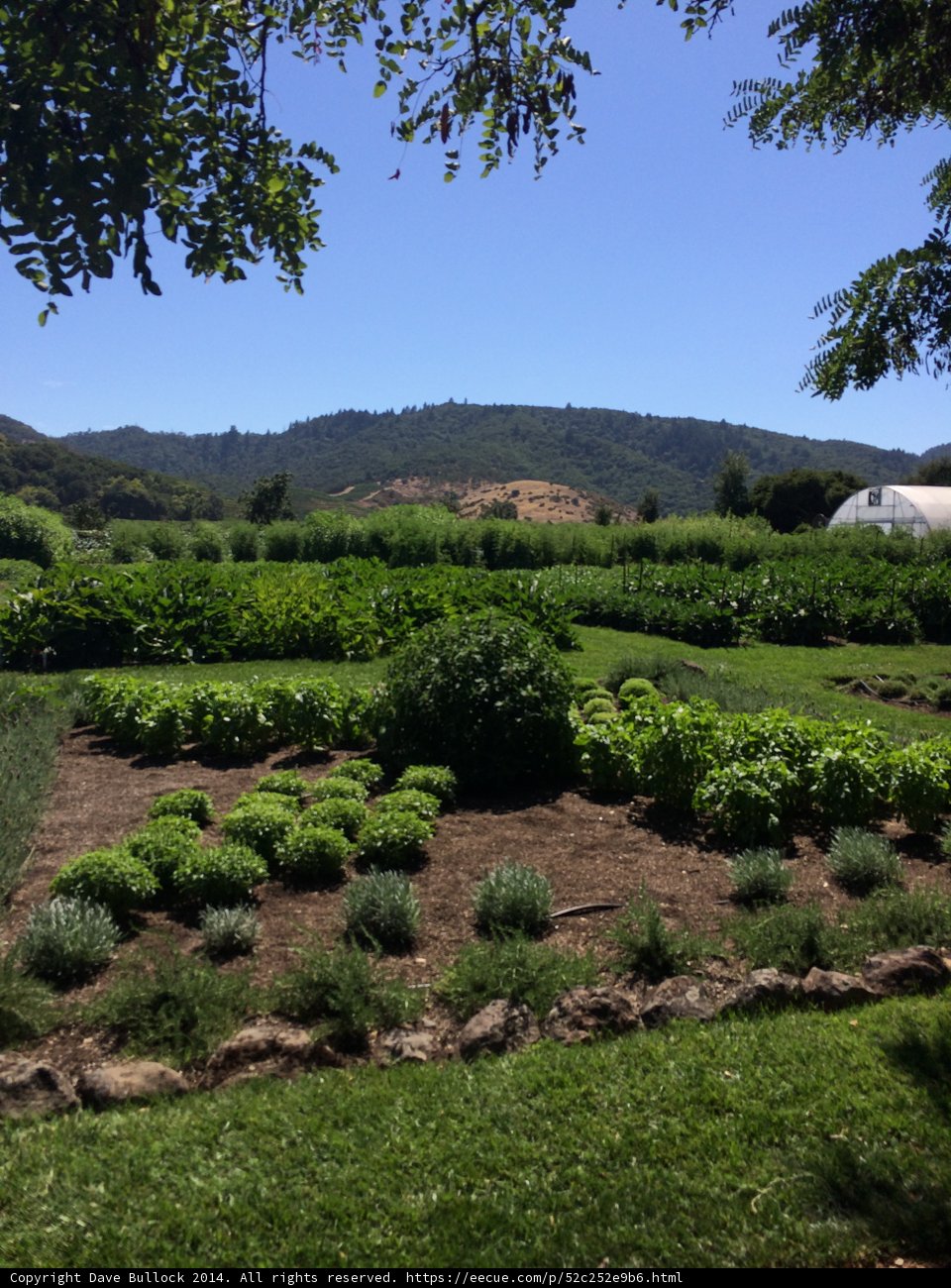A Scenic Countryside Garden