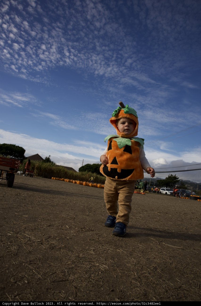 Pumpkin Baby's Joy Day at Halfmoon Bay