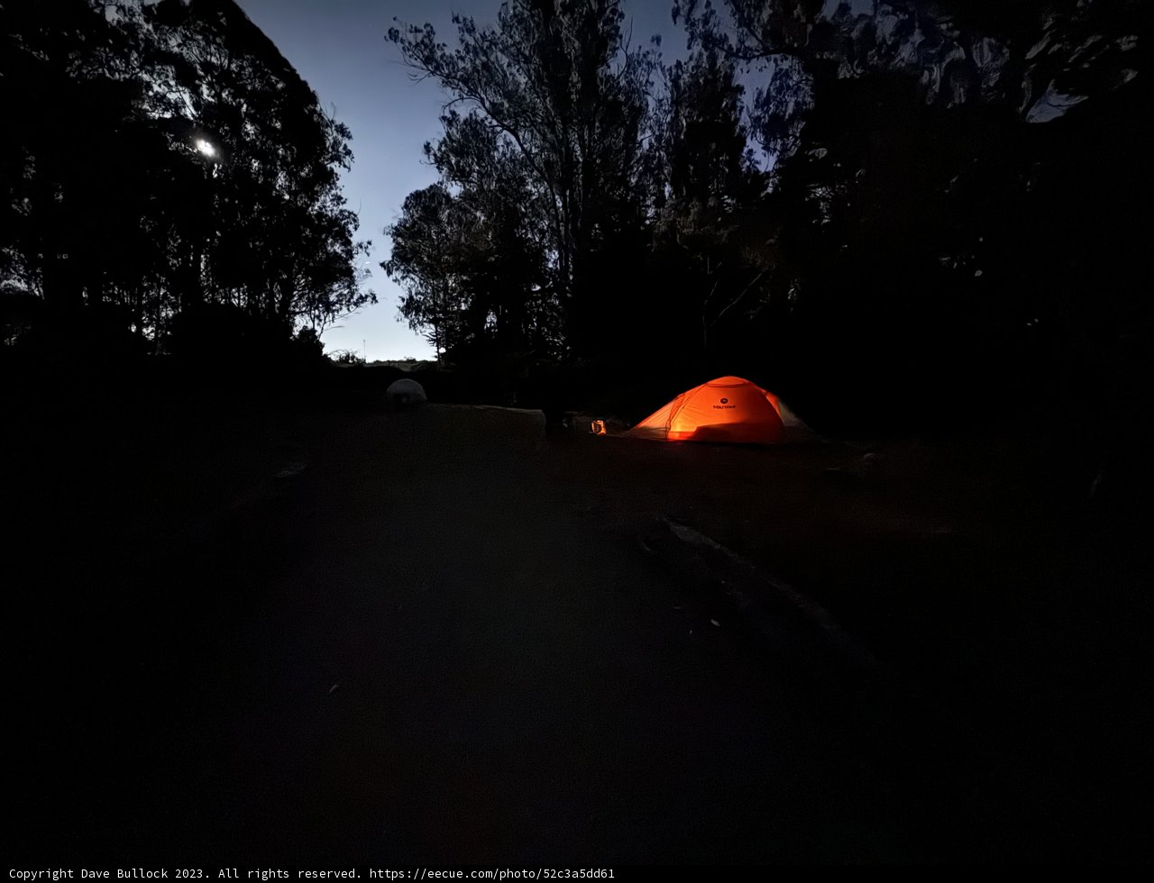Illuminated Refuge in the Presidio Night