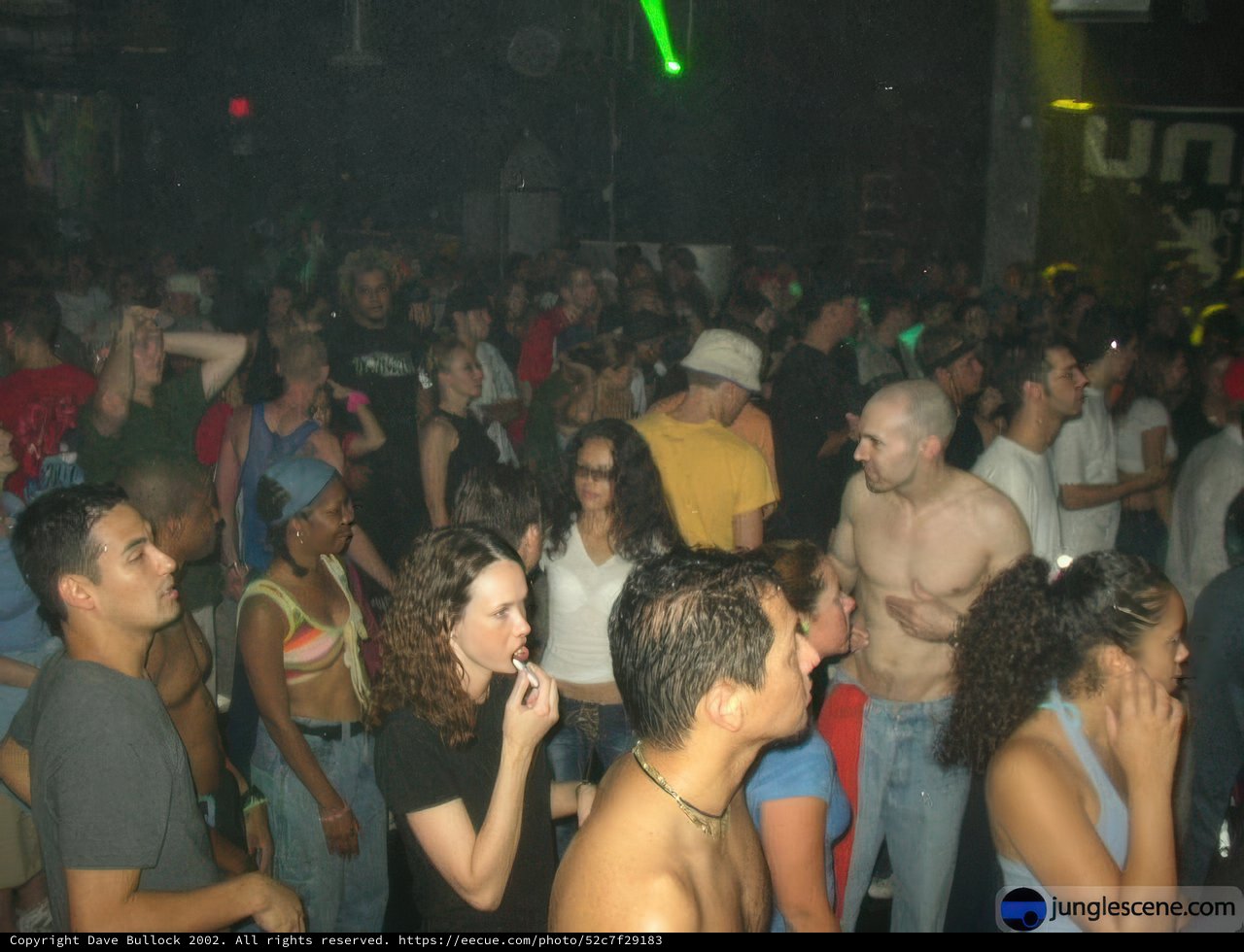 Disco Night at Divine Playground