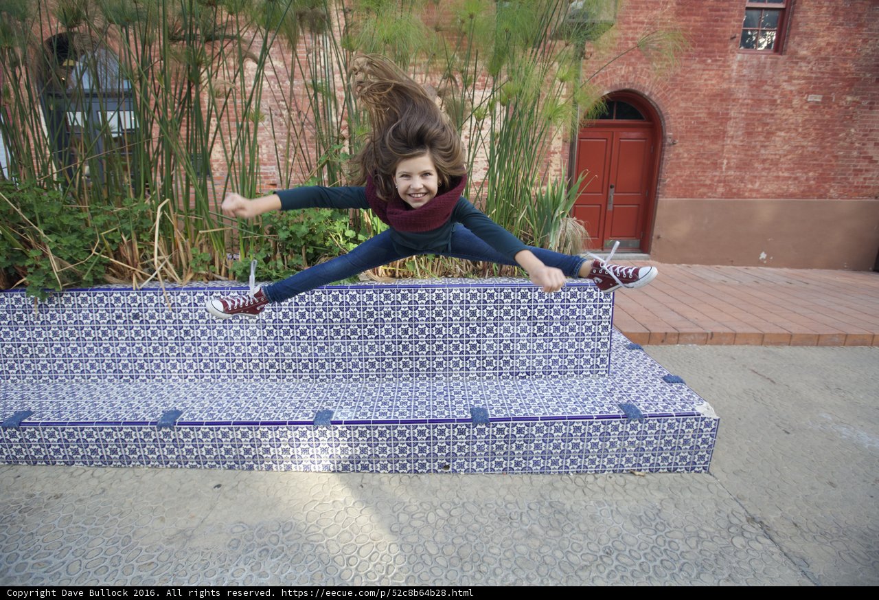 Skateboard Fun