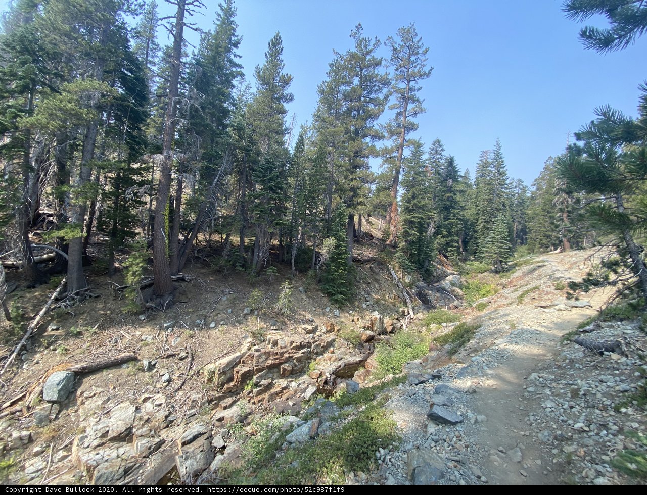 Trail through the Desolation Wilderness