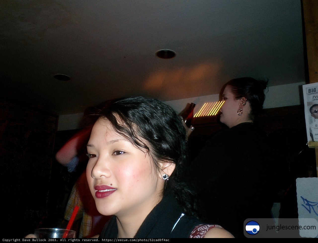 Nightlife Sips