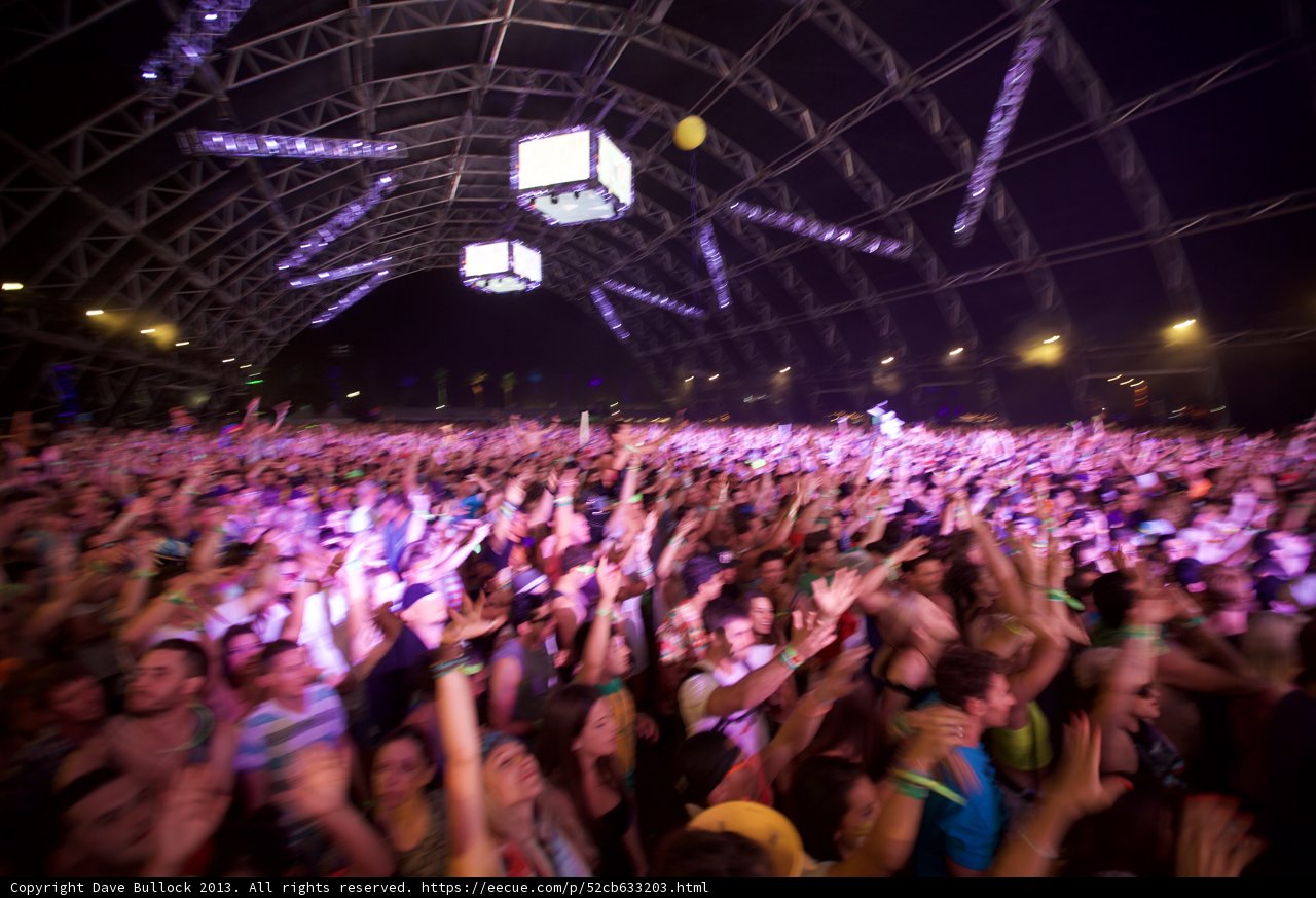 A Sea of People under the Night Sky