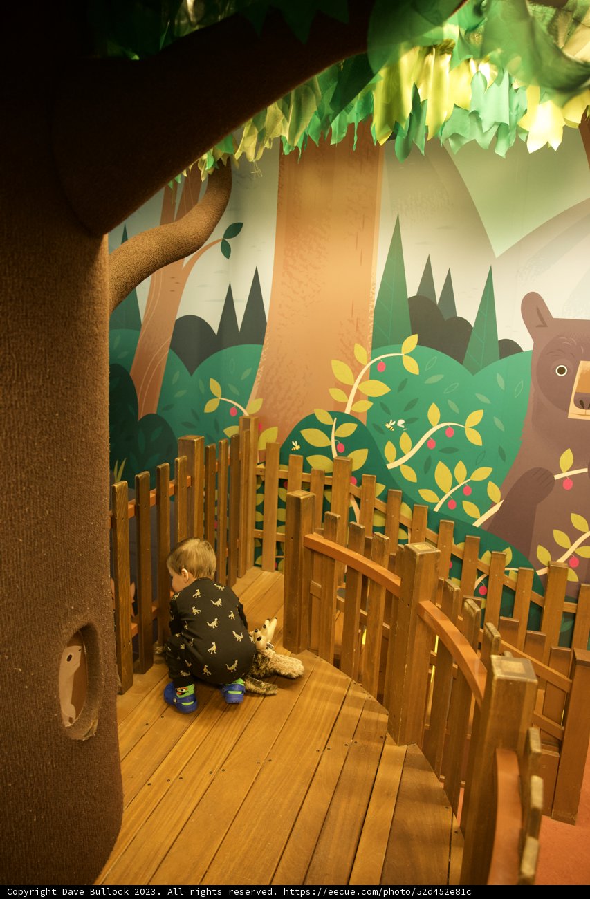 Innocent Moments: A Little Explorer's World
