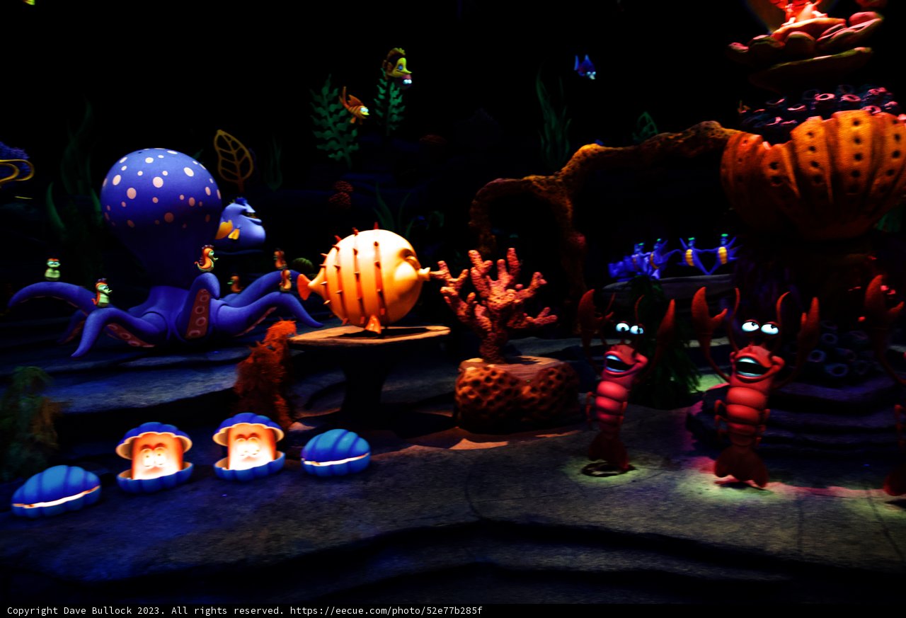 Magical Encounter with the Little Mermaid