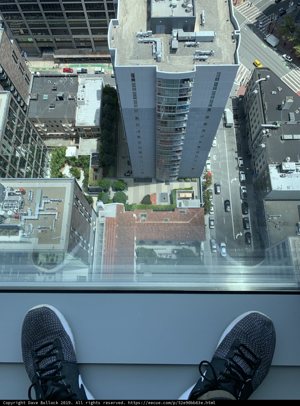 Overlooking the Urban Metropolis