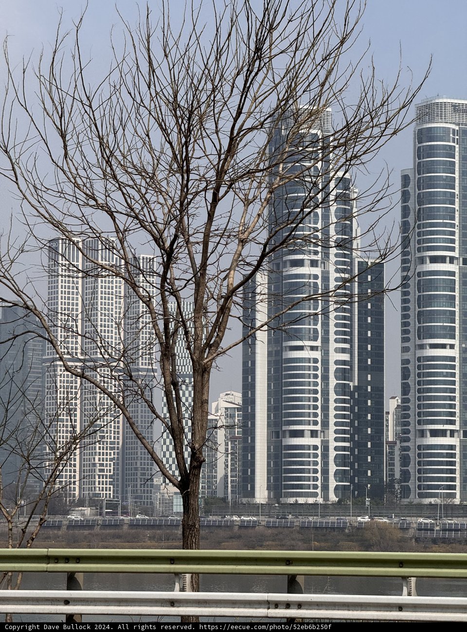 Urban Serenity Amidst Beijing's High Rise