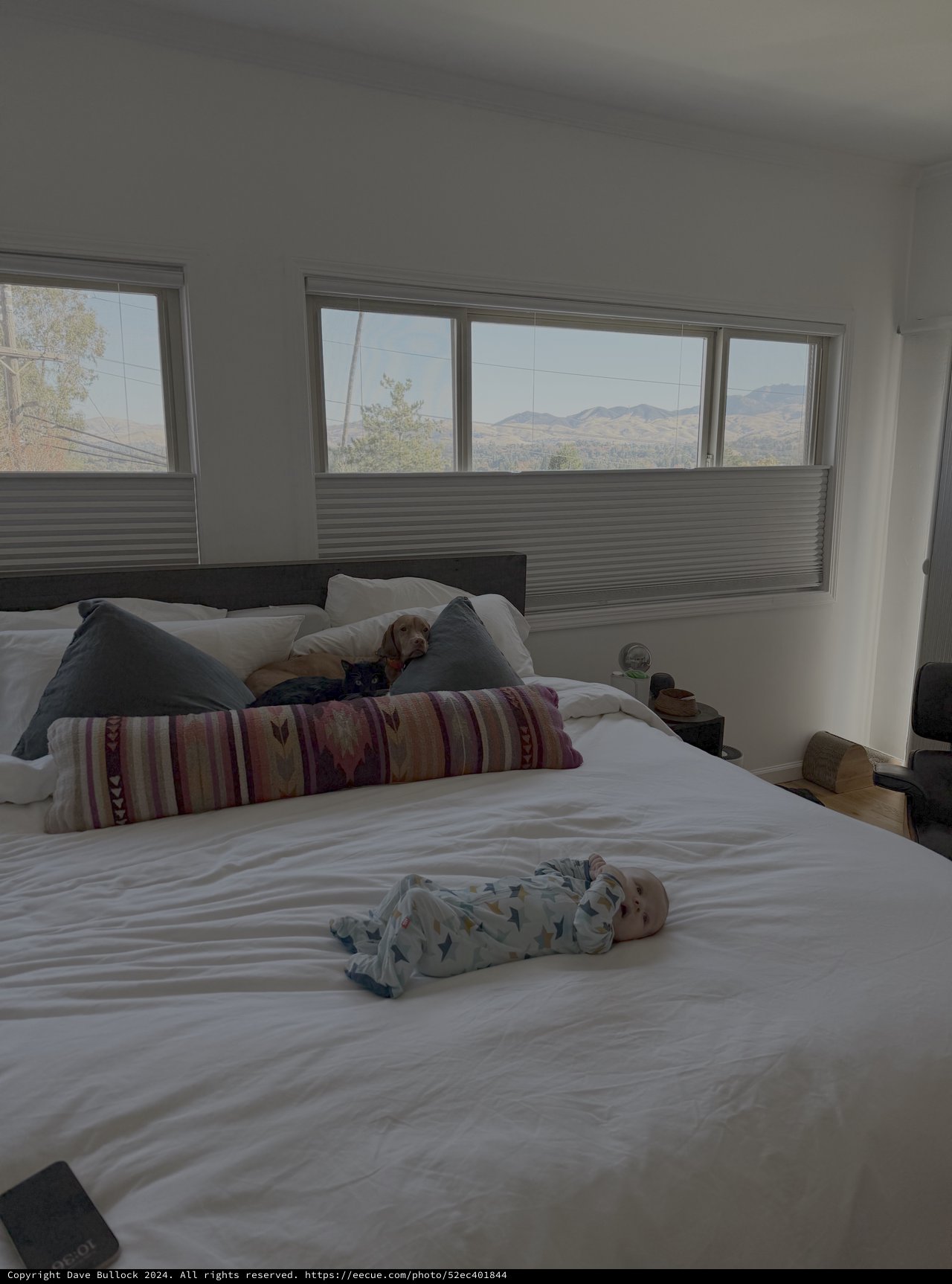 Peaceful Family Morning in Desert View Bedroom