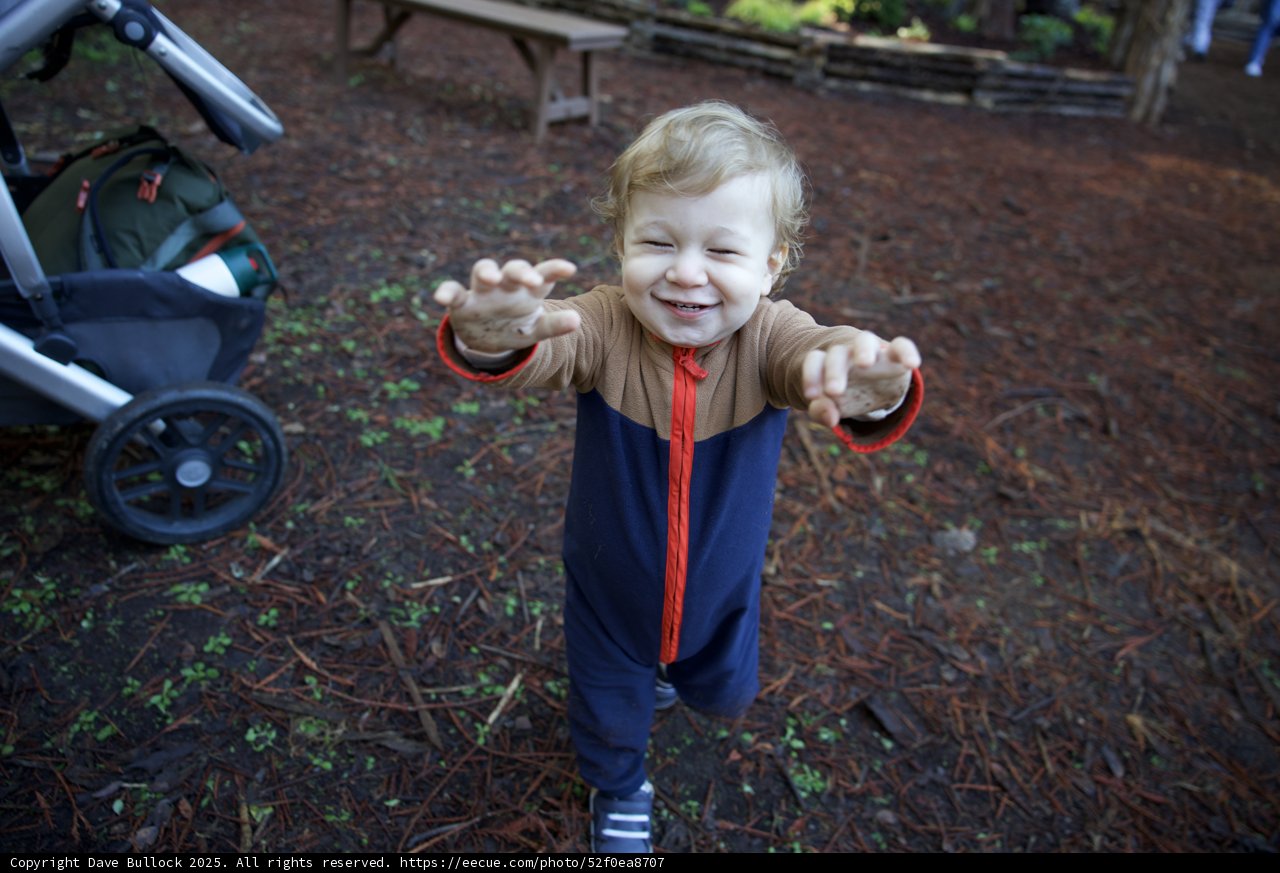 Joyful Exploration at Thistlewyck