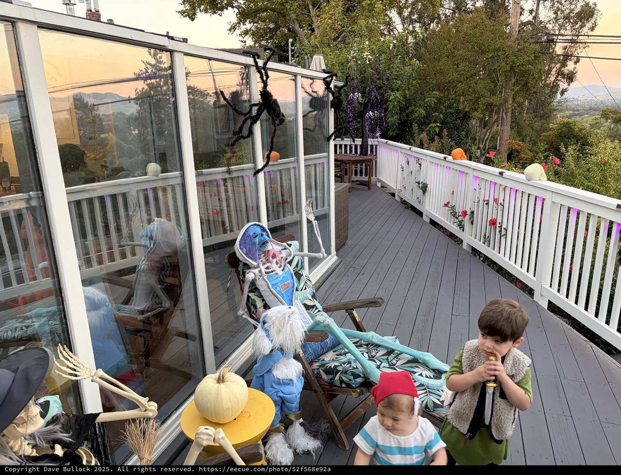 Halloween Skeleton Display on Foggy Deck