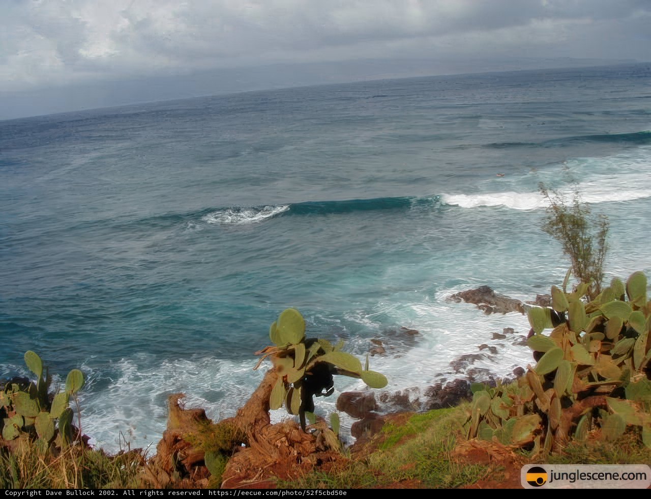 Overlooking the Majestic Pacific Ocean