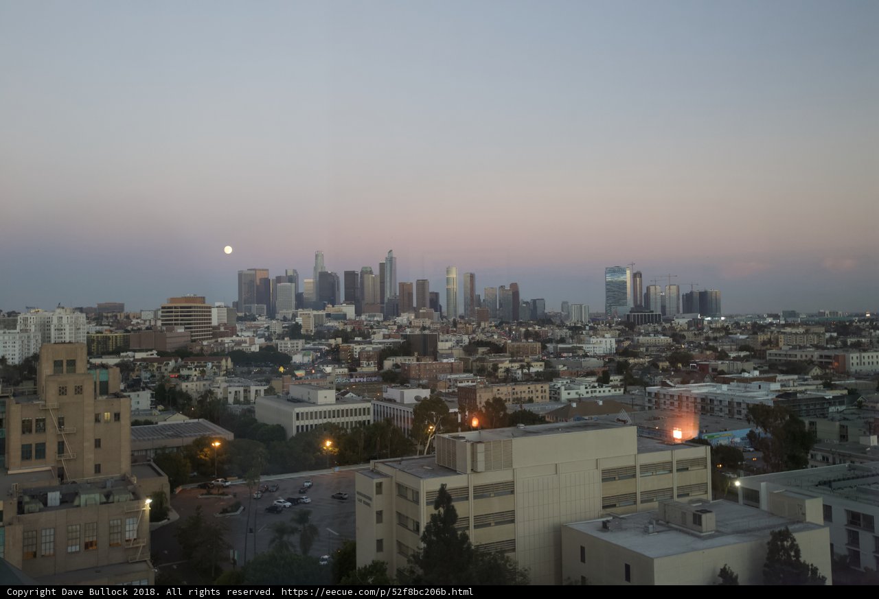 Moonrise over the Urban Jungle
