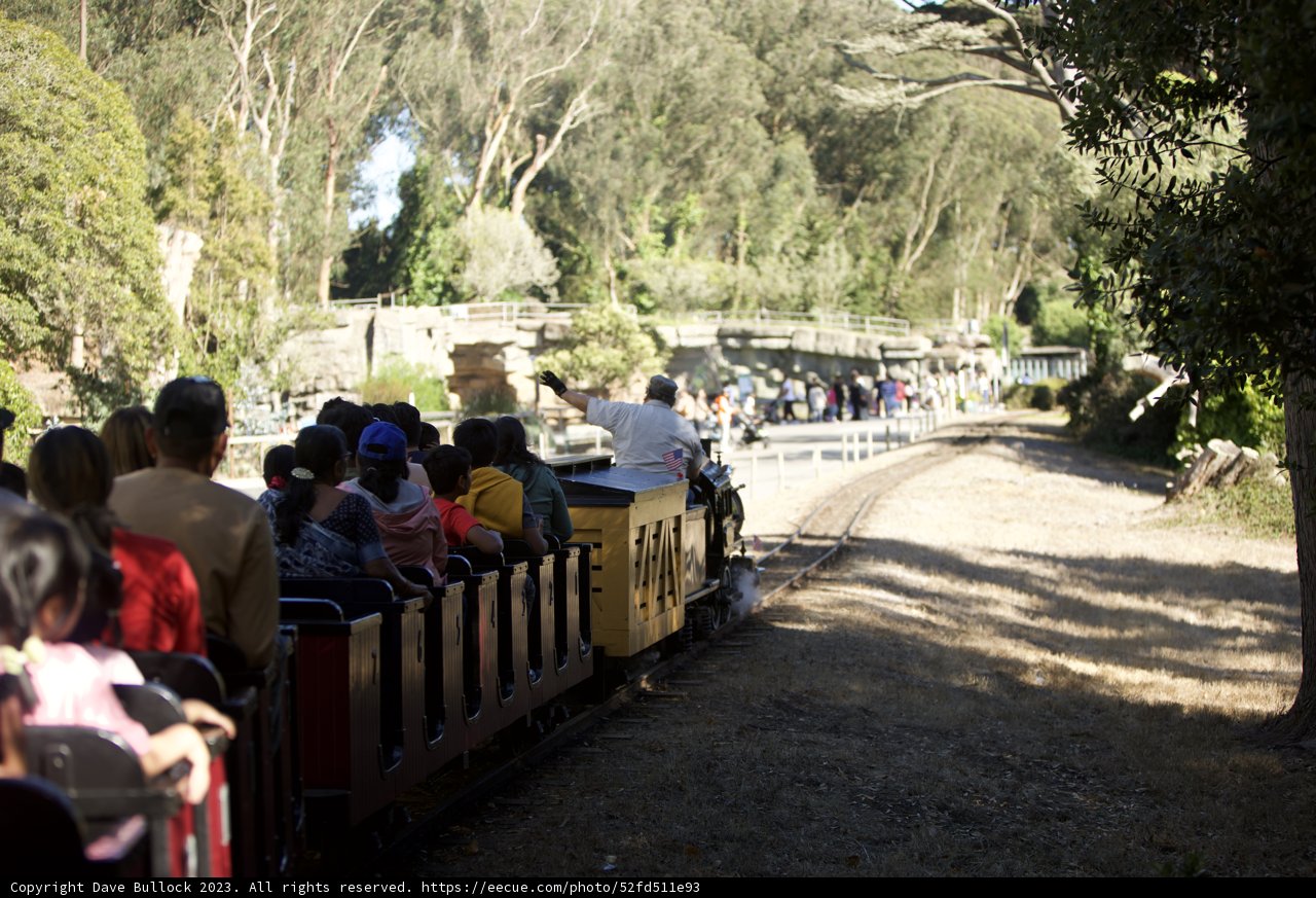 Joyride to Adventure: A Day At San Francisco Zoo & Gardens