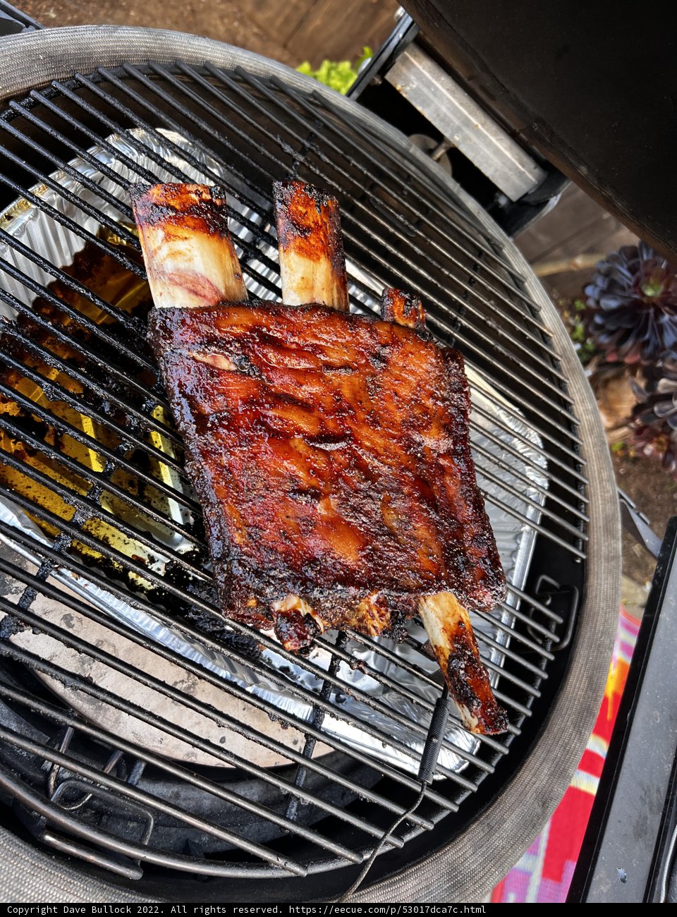 BBQ Feast with Grilled Ribs