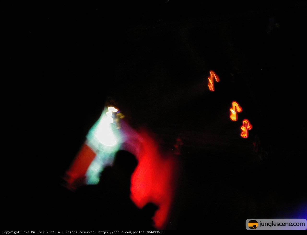 Spotlight on the Crowd
