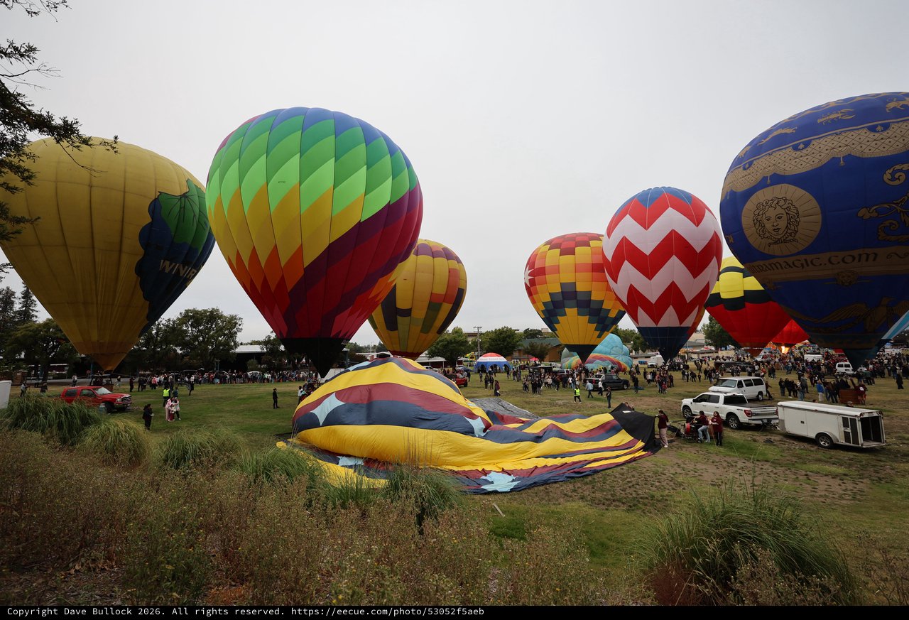 Colorful Hot Air Balloons Launch at Sonoma Classic