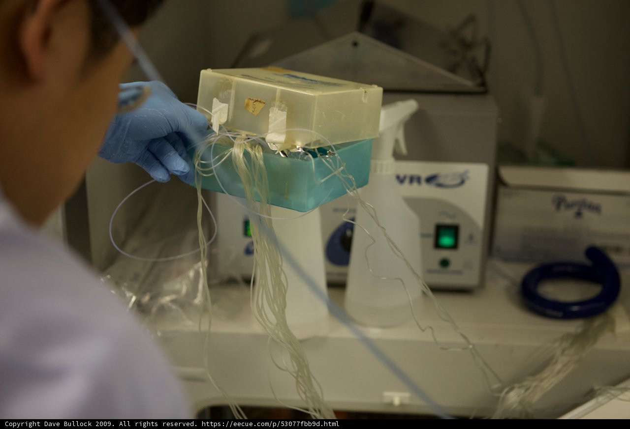 Innovations in Microbiology