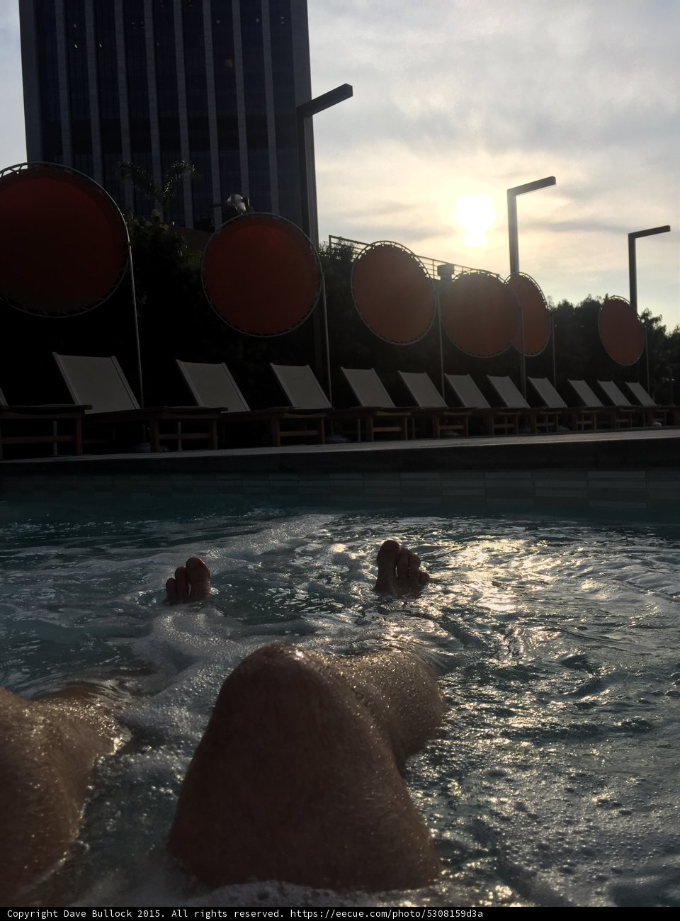 Sunset Swimmer