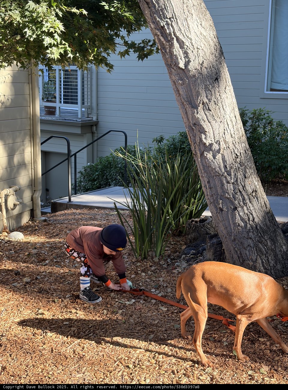 Autumn Adventures in Carmel
