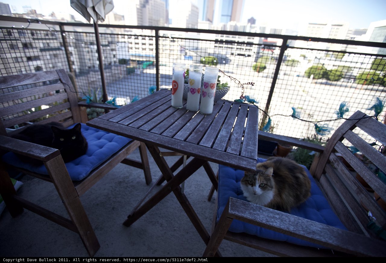 Balcony Buddies