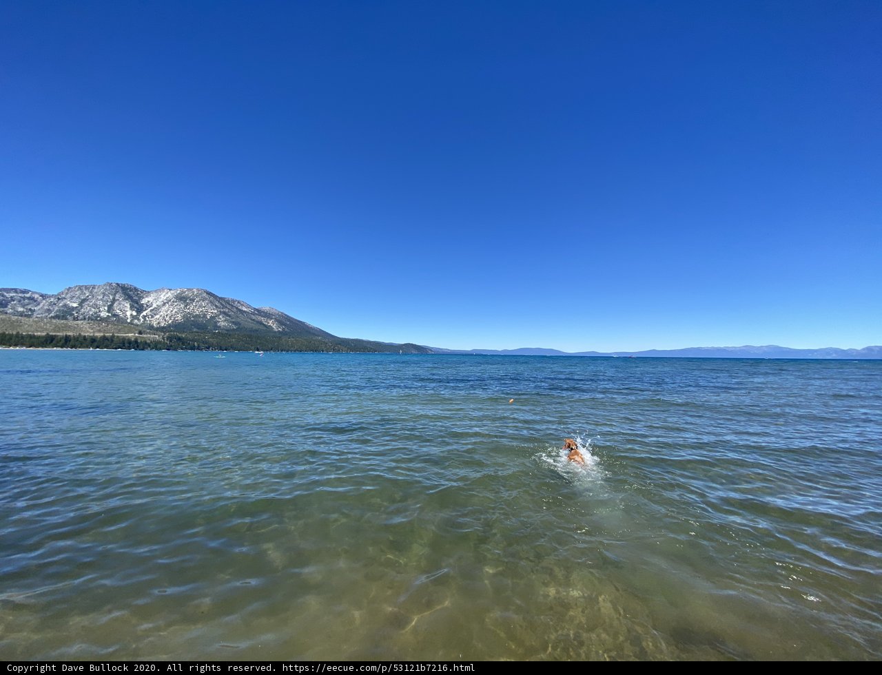 Mountain Swimming