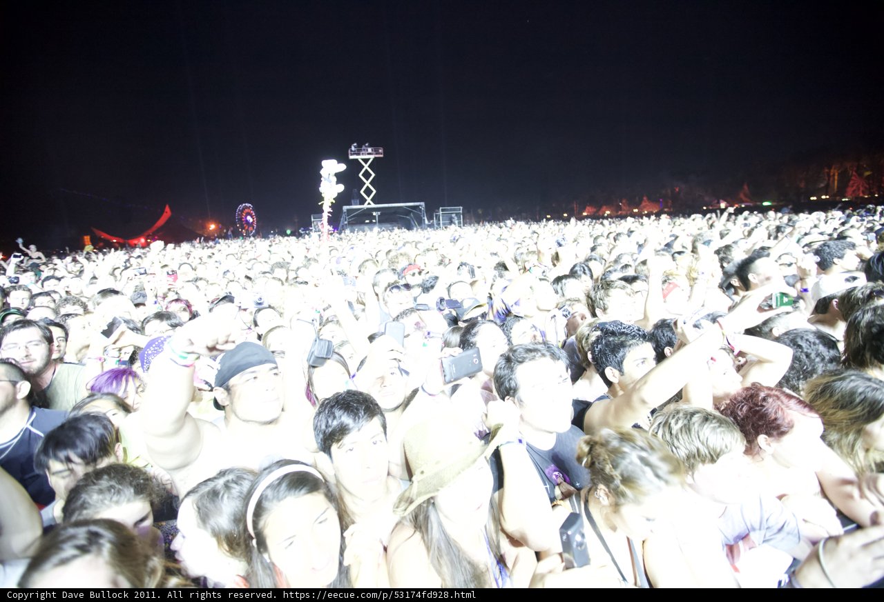 Night Rockin' with Chiaki and the Crowd