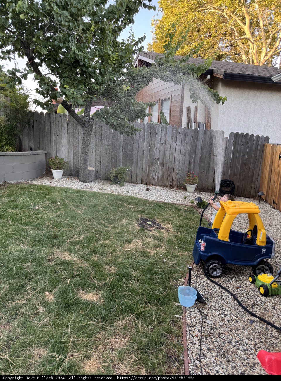 Backyard Bliss