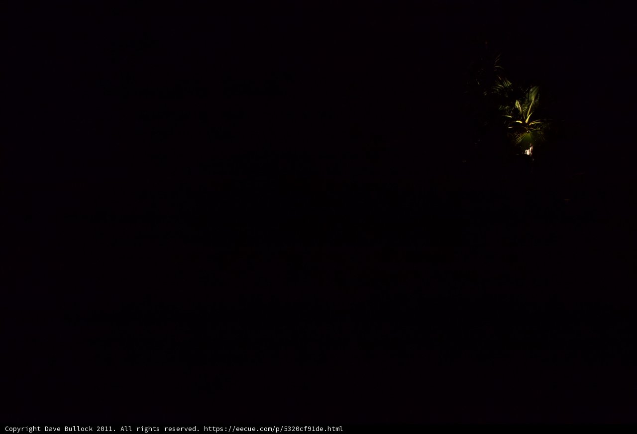 The Black Cat and the Night Light