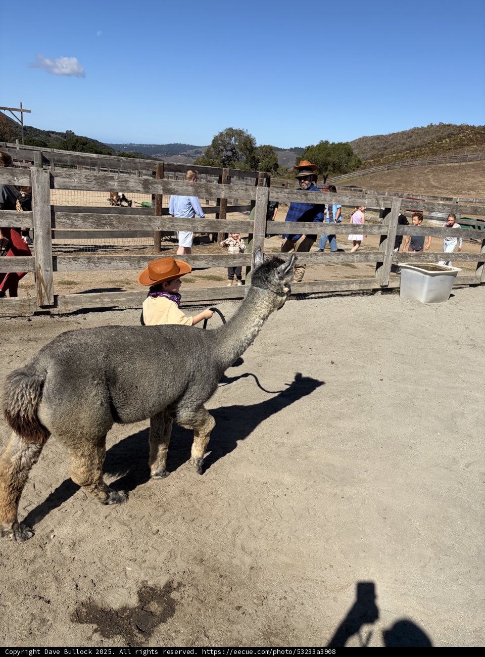 A Day with the Llama