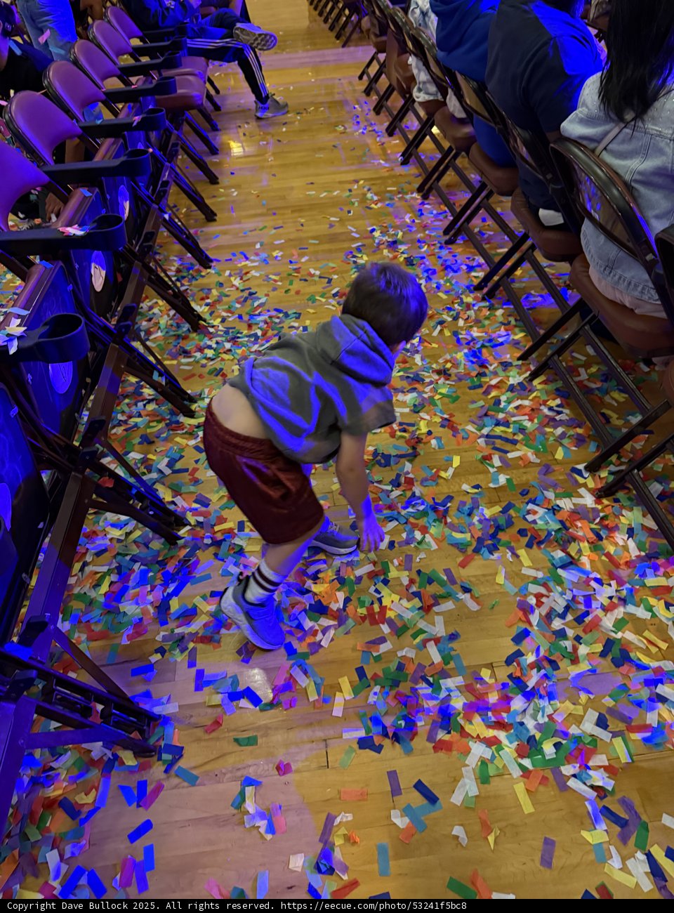 Confetti Wonderland