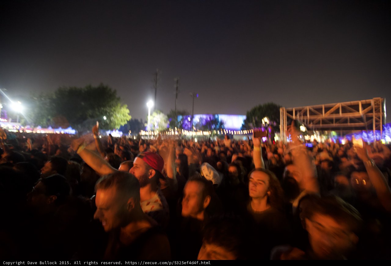 Warm Light on Crowd