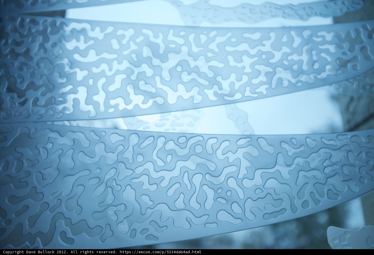 Nature's Pattern
